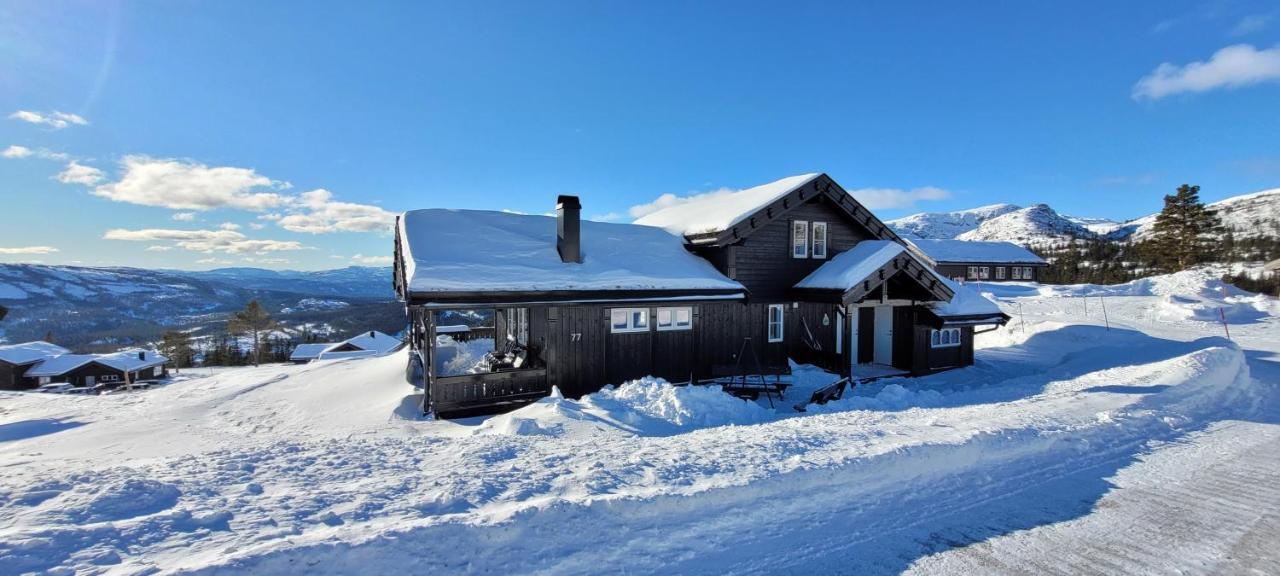 Wonderful Cabin With Amazing Mountain - View Lifjell Exteriör bild