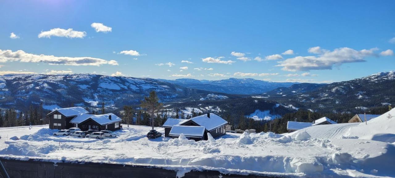 Wonderful Cabin With Amazing Mountain - View Lifjell Exteriör bild