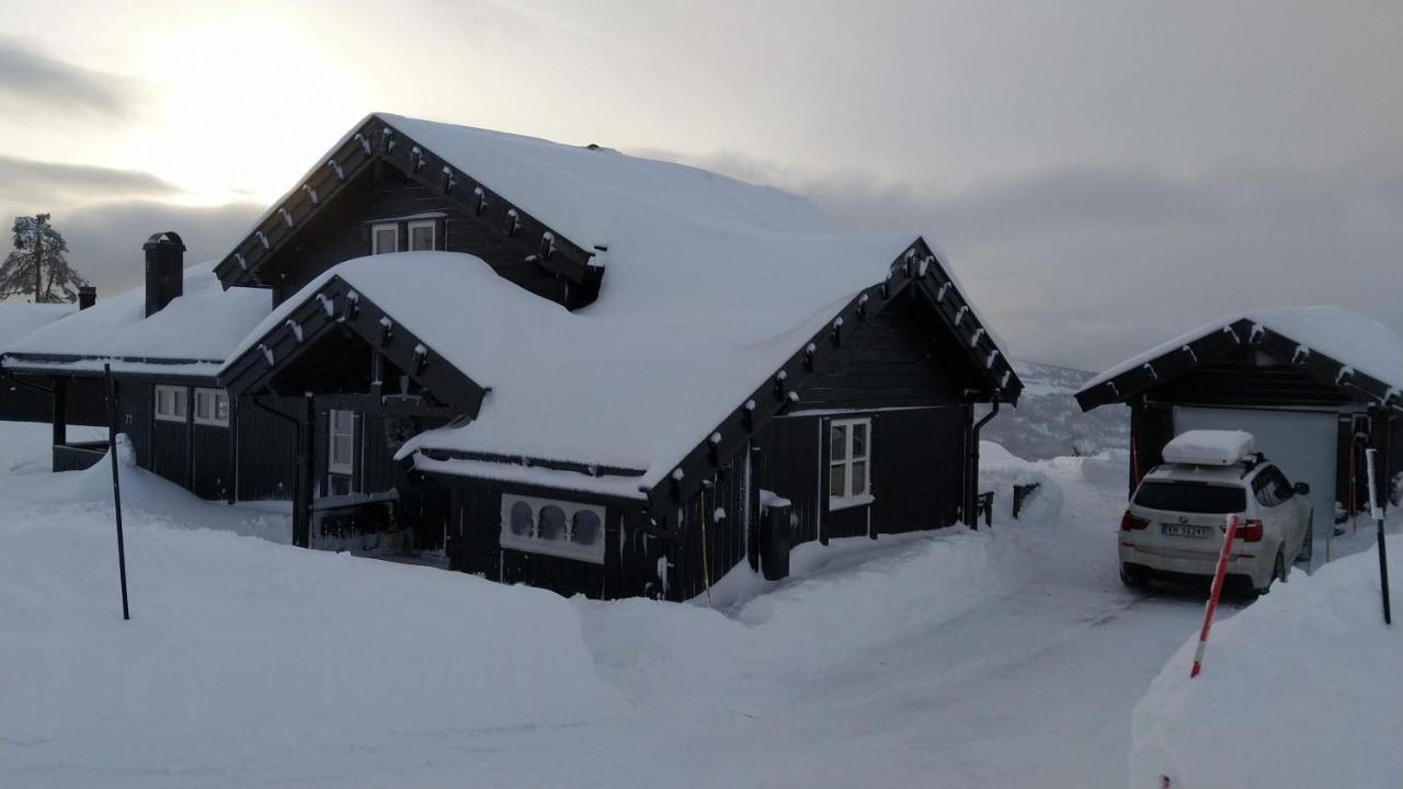 Wonderful Cabin With Amazing Mountain - View Lifjell Exteriör bild